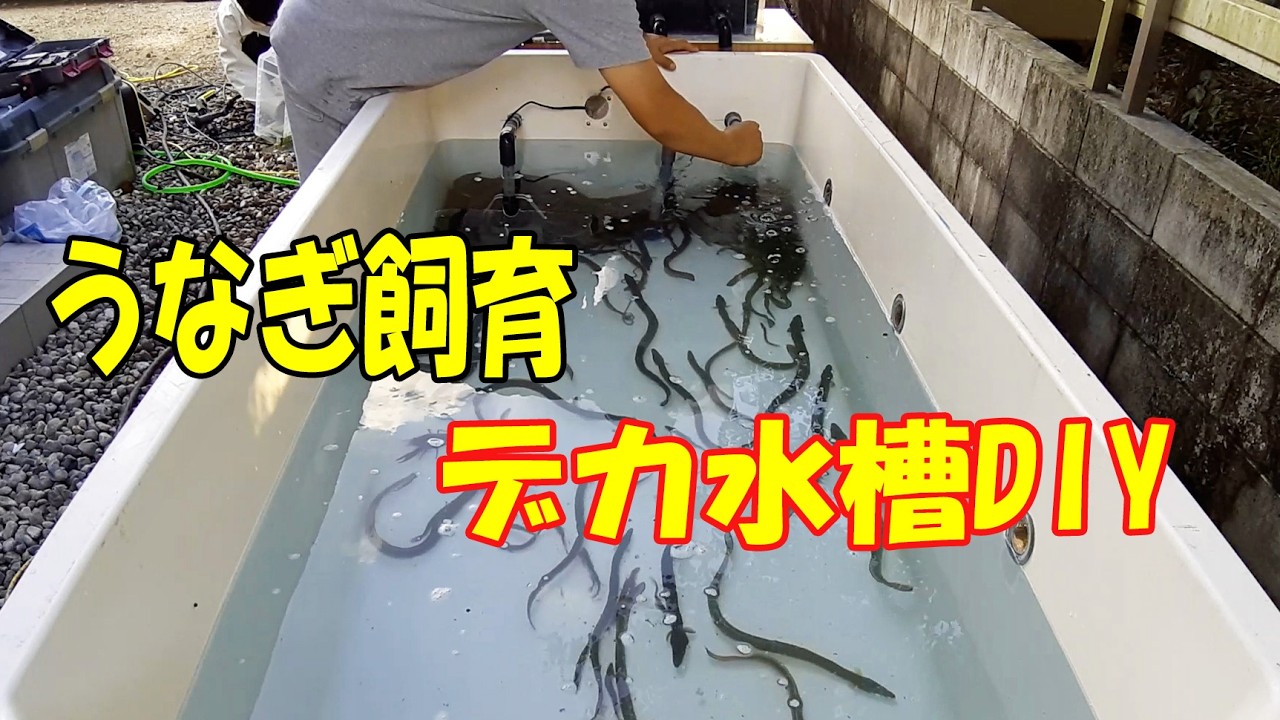 【見ればわかる】廃材の浴槽で『1200L水槽』をDIY