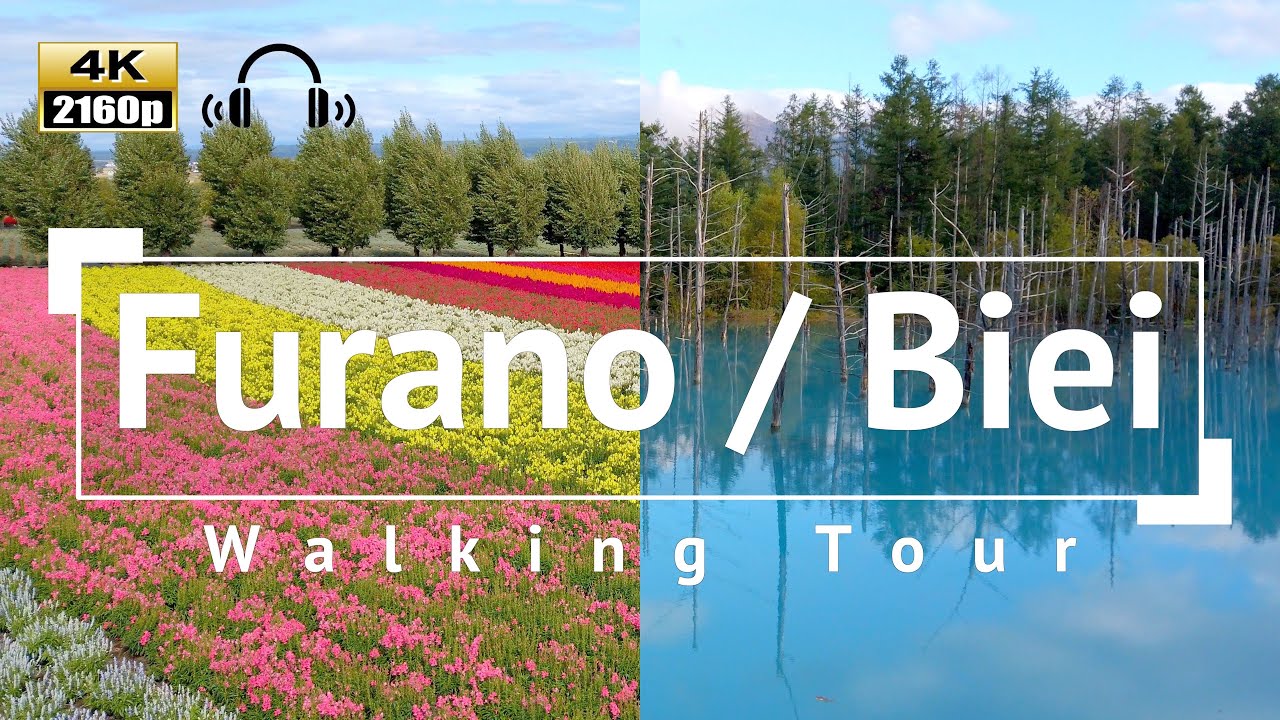 [4K/Binaural Audio] Furano / Biei Walking Tour - Hokkaido Japan