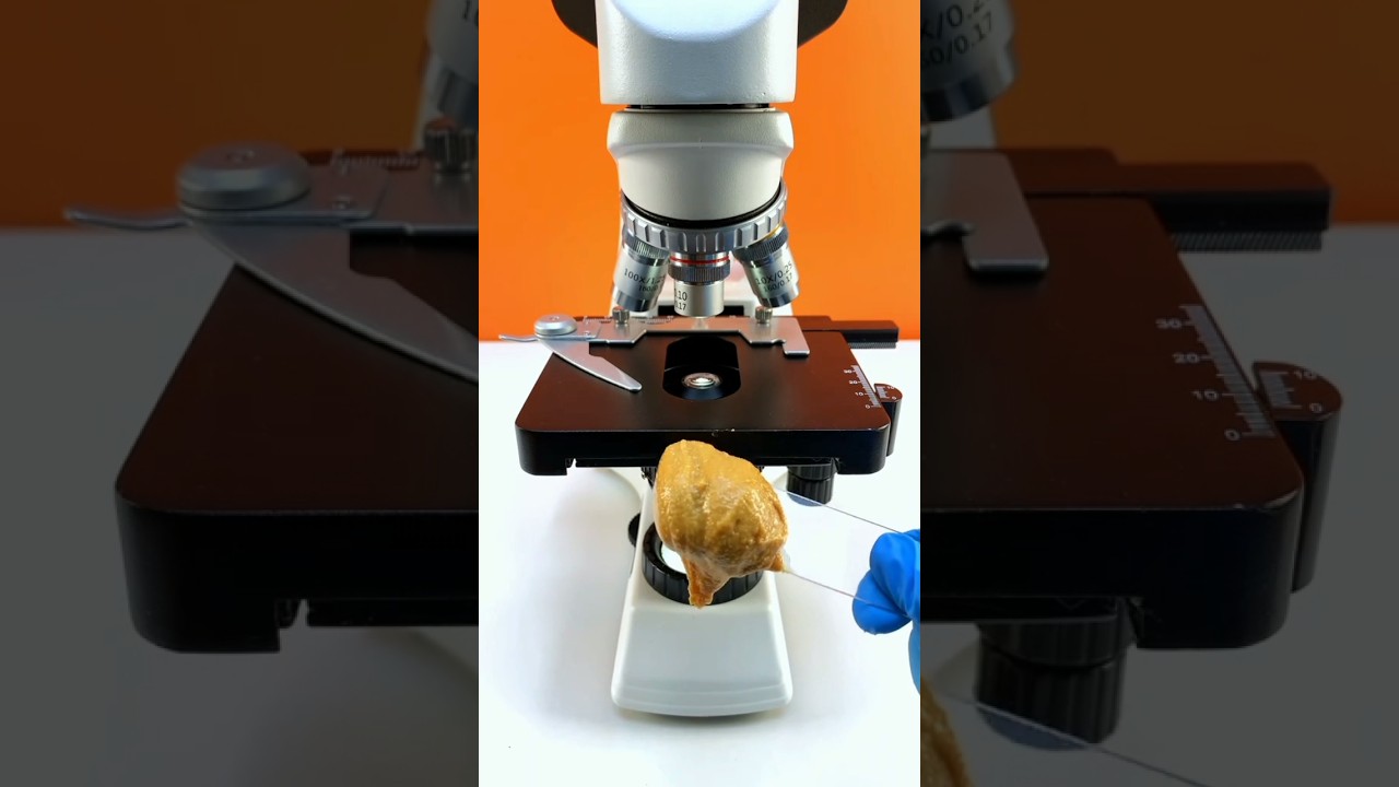 Peanut butter under the microscope #peanut #butter #peanutbutter #microscopicworld