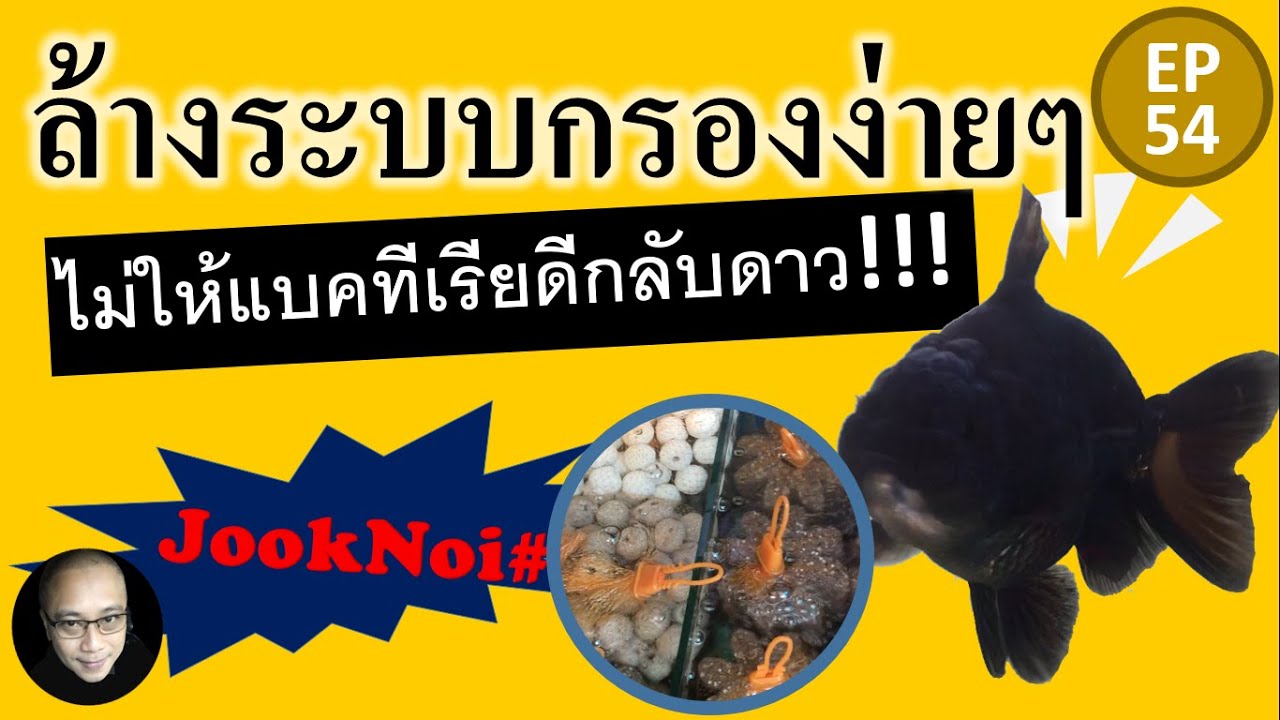 วิธีล้างระบบกรองแบบง่ายๆ ไม่ให้ไนตริไฟอิ้งแบคทีเรียตาย #ปลาทอง #goldfish EP54