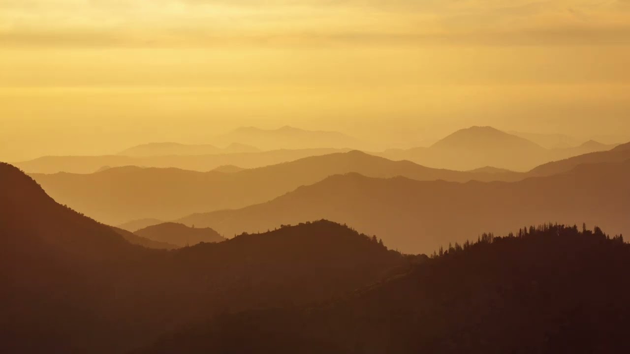 Night Breeze - Sequoia Sunrise 2023 Set