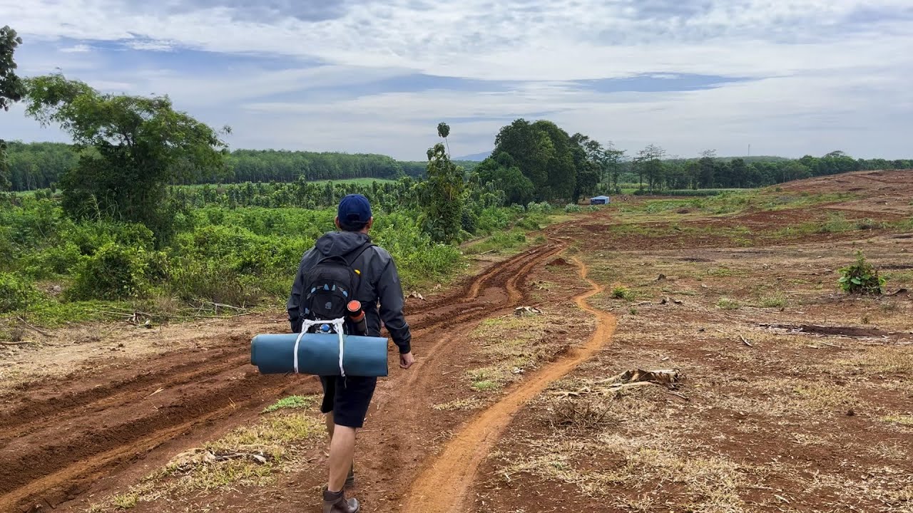 Solo Hiking and Camping | A Peaceful Journey Through the Rubber Forest to the Sea