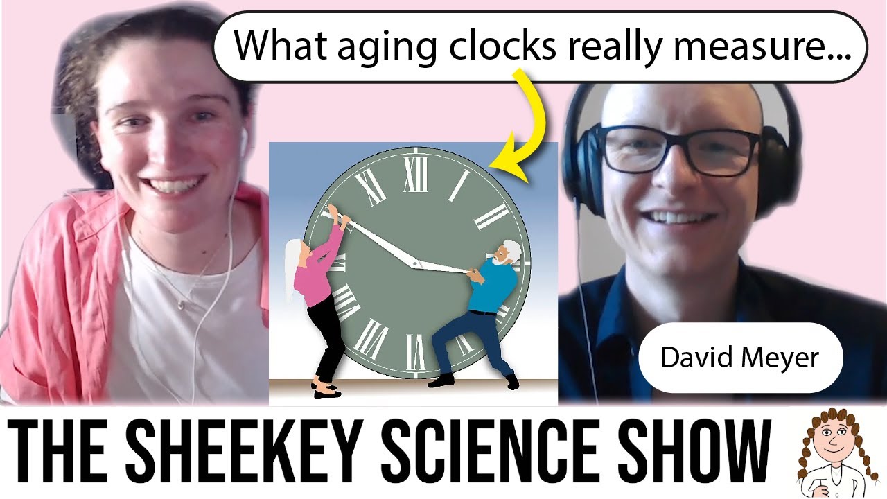 How Randomness Drives Aging - DNA Repair, Clocks & Rejuvenation (David Meyer)