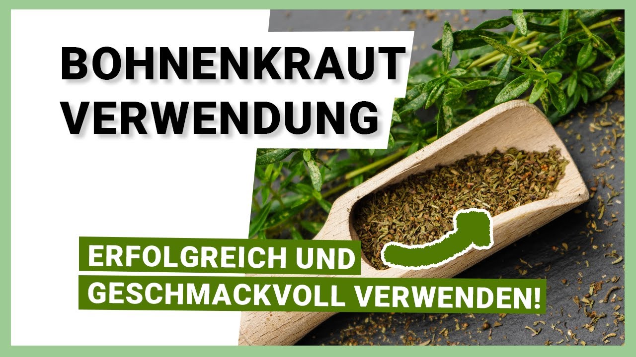 Wie kann man Bohnenkraut am besten verwenden?