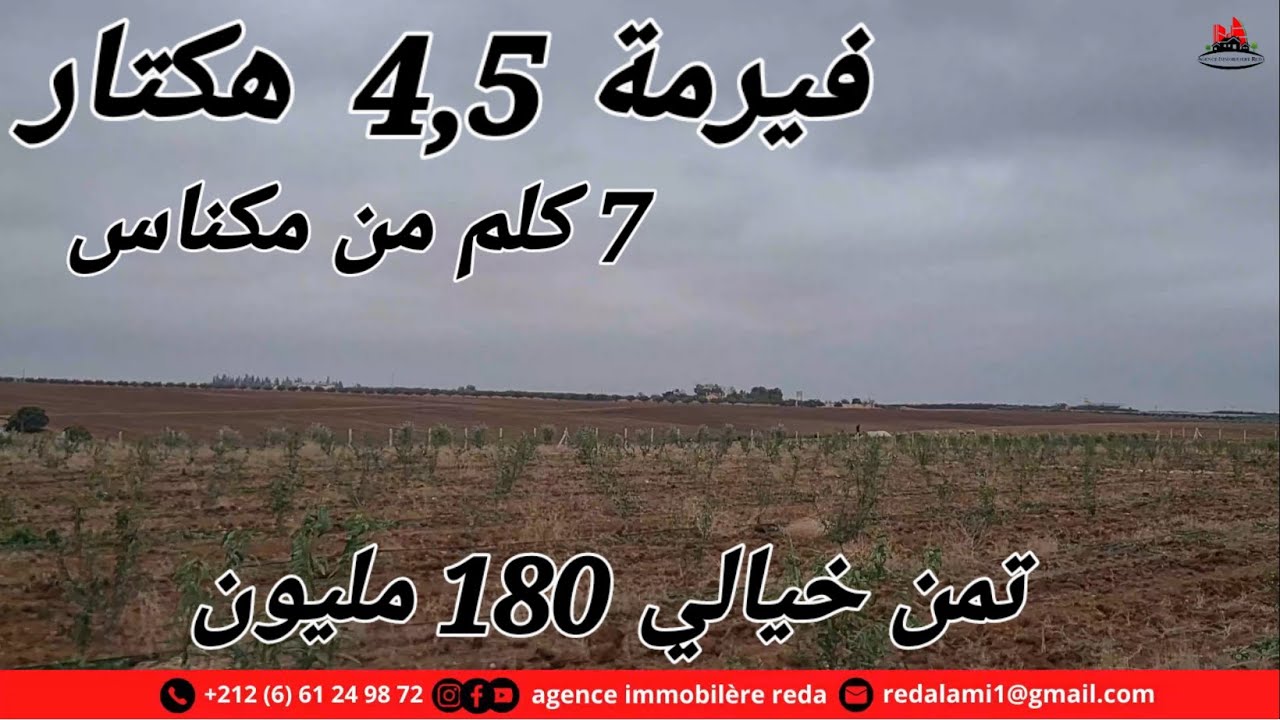 Ferme 4.5 h Meknes  فيرمة 4.5 هكتار مكناس