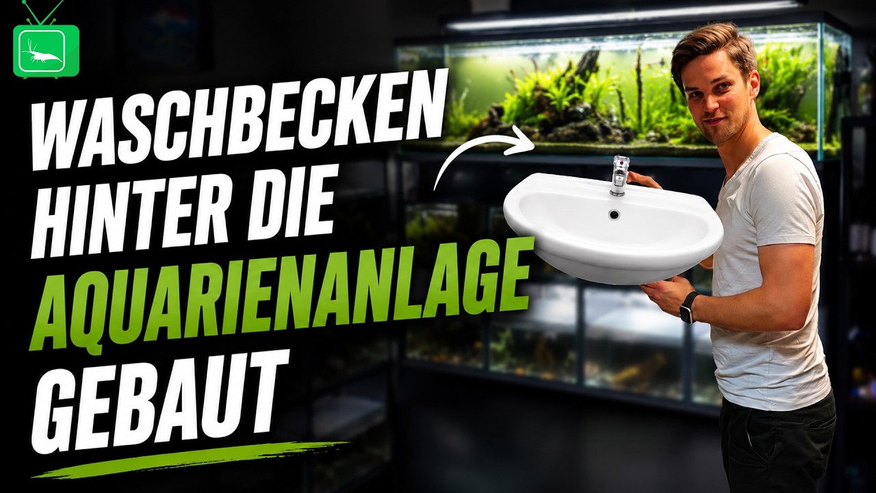 Abflusswaschbecken hinter die Aquarienanlage bauen  | GarnelenTv