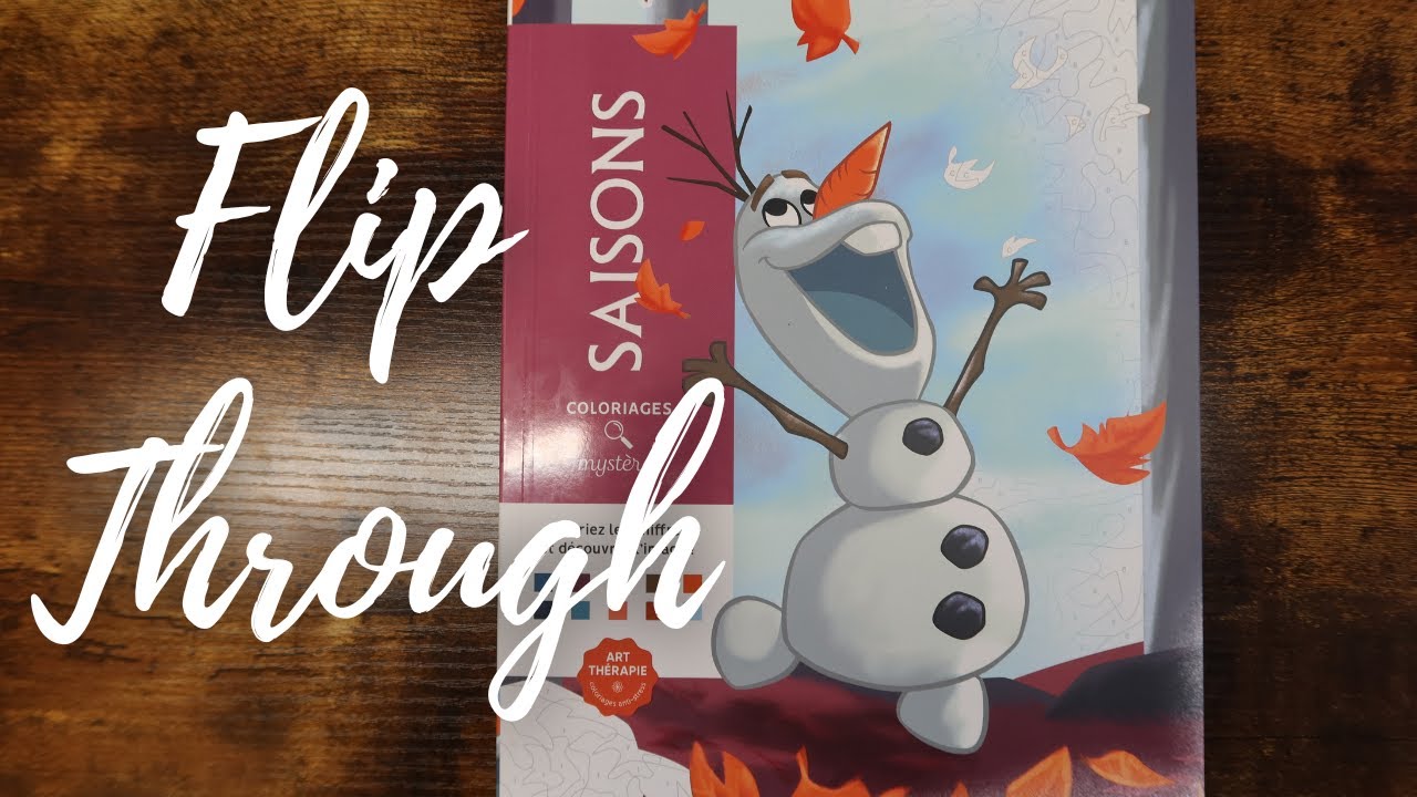 saisons (seasons) by hachette heroes flip through!