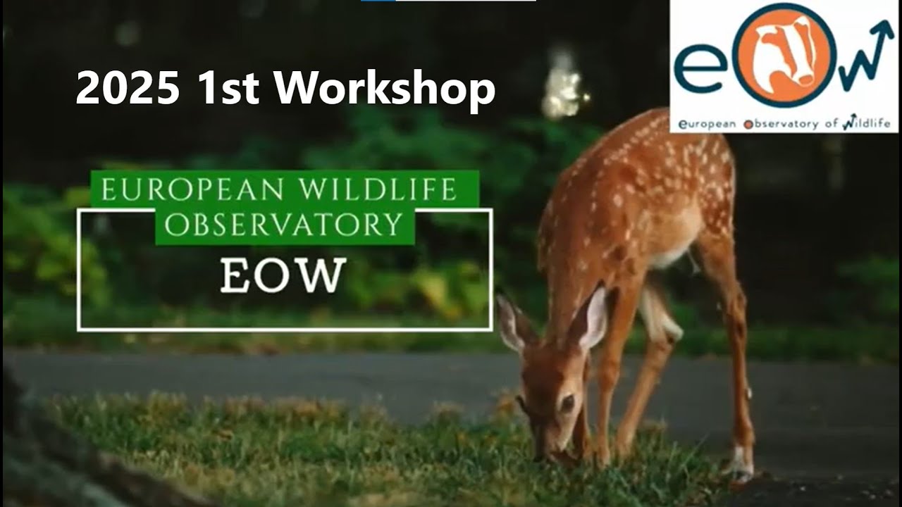 2025 -1st EOW Training workshop