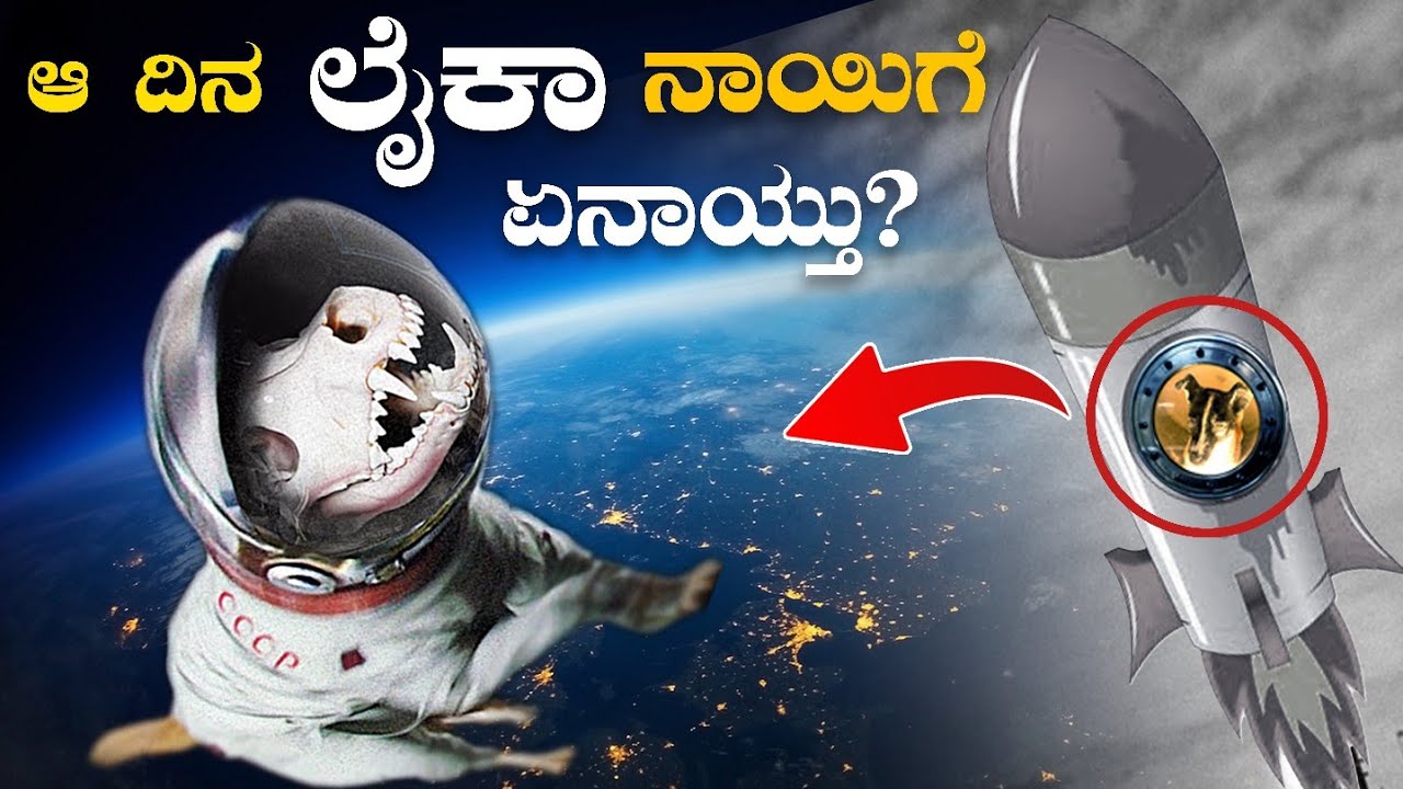 ಆ ದಿನ ಲೈಕಾ ನಾಯಿಗೆ ಏನಾಯ್ತು | What Happened to Laika in Space | Sad Story of a Space Dog | VismayaVani