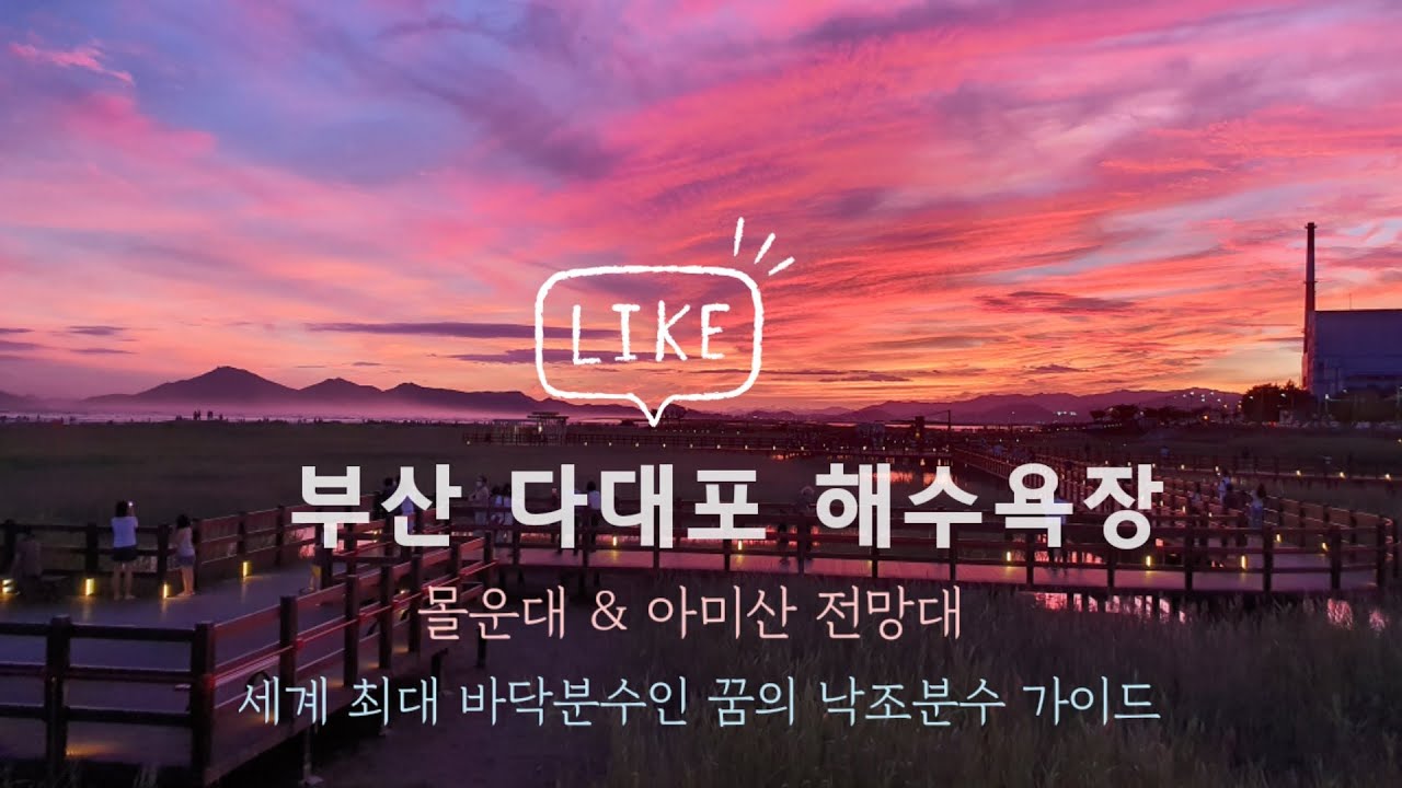 Busan Guide/Korea/환상적인 낙조의 다대포 해수욕장. 아미산 전망대. 몰운대. 세계 최대의 꿈의 낙조분수