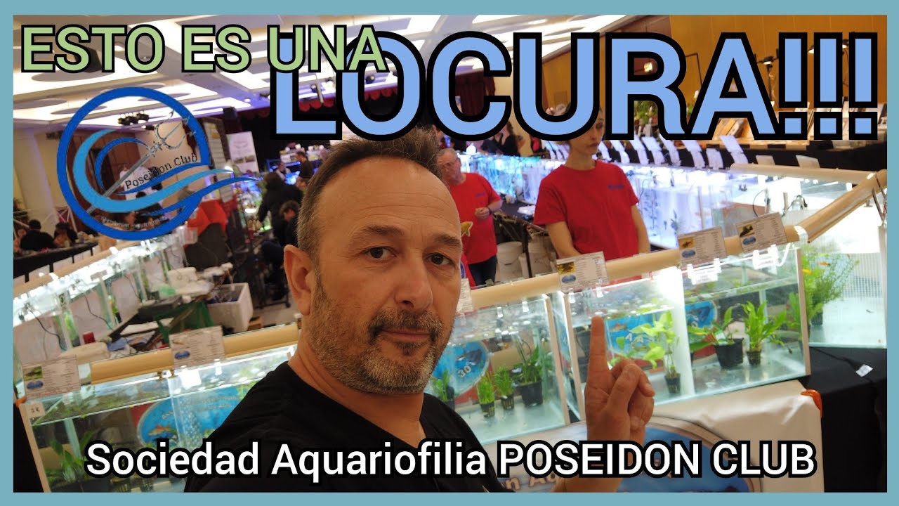 AQUARIOPHILIE EAU DOUCE | Mercado de Peces en Francia