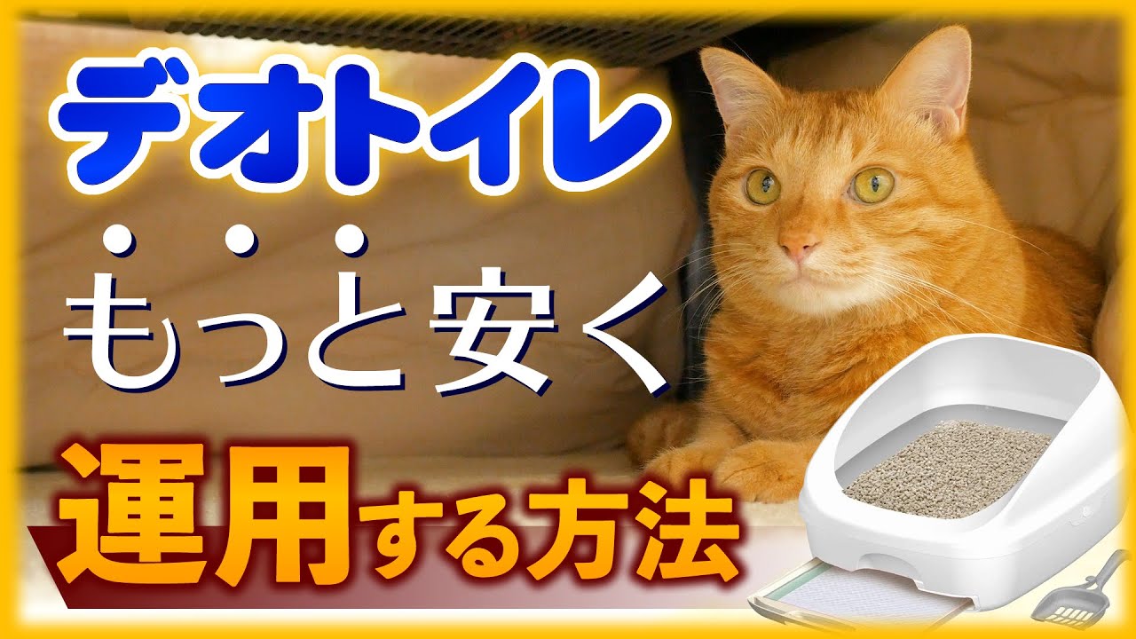 デオトイレの特徴ともっと安く運用する方法