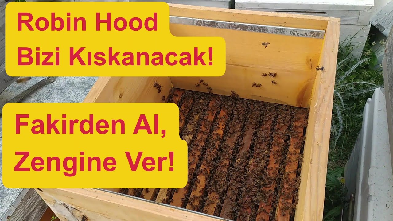 Bal Akımına Çok Güçlü Kovanlarla Girmek Gerek! #arıcılık #beekeeping #arıya kat vermek#arı #honey