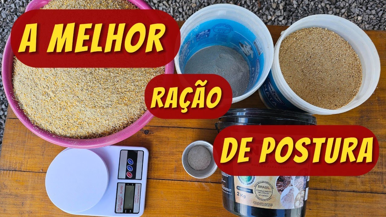 COMO FAZER A MELHOR RAÇÃO DE POSTURA PARA CODORNAS