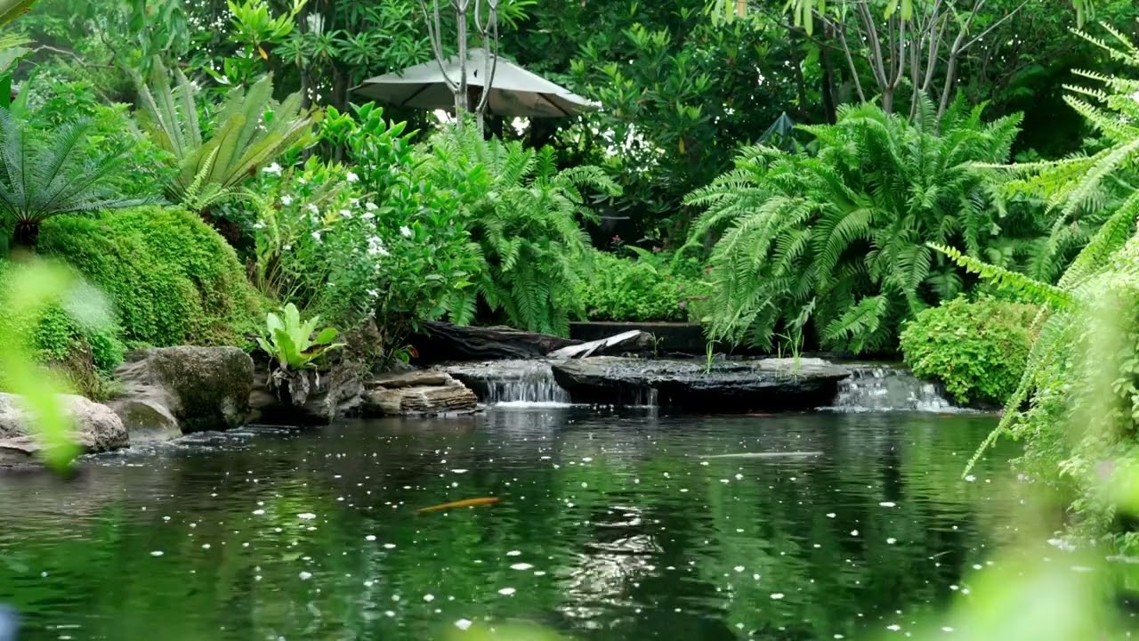 Zen Garden Ambience - Running Water, Birds, Singing Bowls, and Flute for Relaxation and Meditation