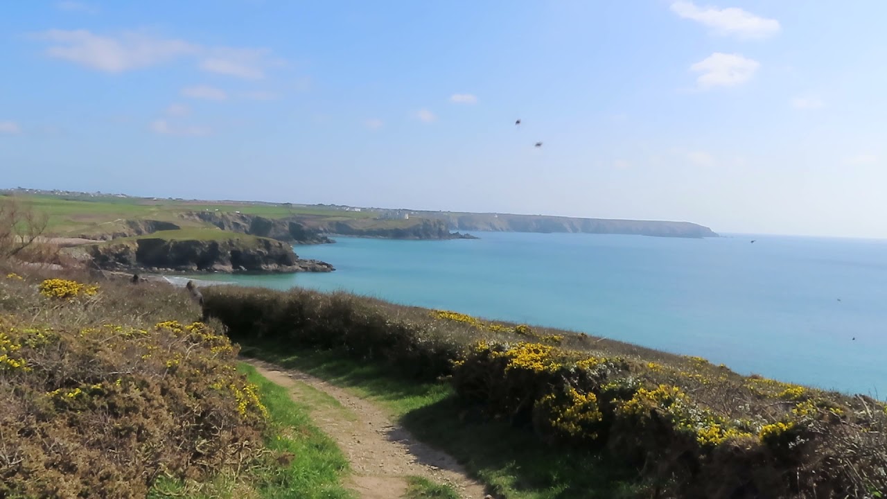 Dollar and Church Cove, Gunwalloe