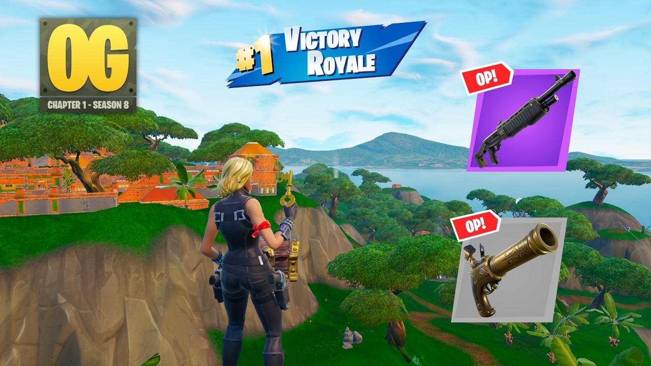 24 Kill Fortnite Solos 