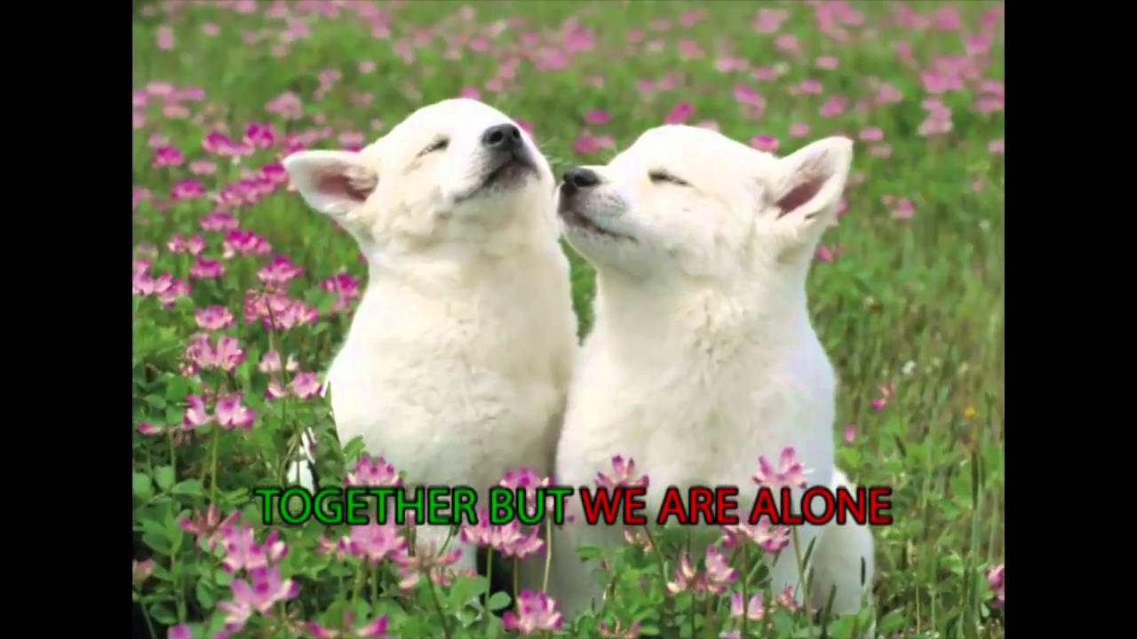 Gridlink - Orphan (Karaoke Version) - Official Karaoke Video!