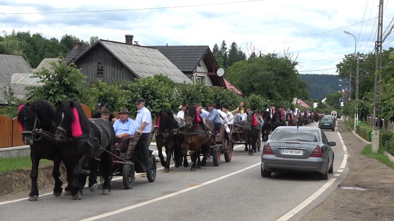 Parada cailor de la Putna, Bucovina 2 Iulie 2018