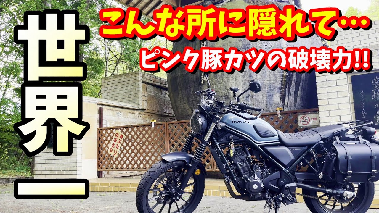 【岐阜】巨大観光名所の場所に困惑…絶品ピンク色豚カツはリピート確実！