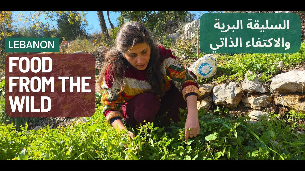 السليقة البرية في لبنان سر الاكتفاء الذاتي Wild Foraging in Lebanon The Secret to Ancestral Survival