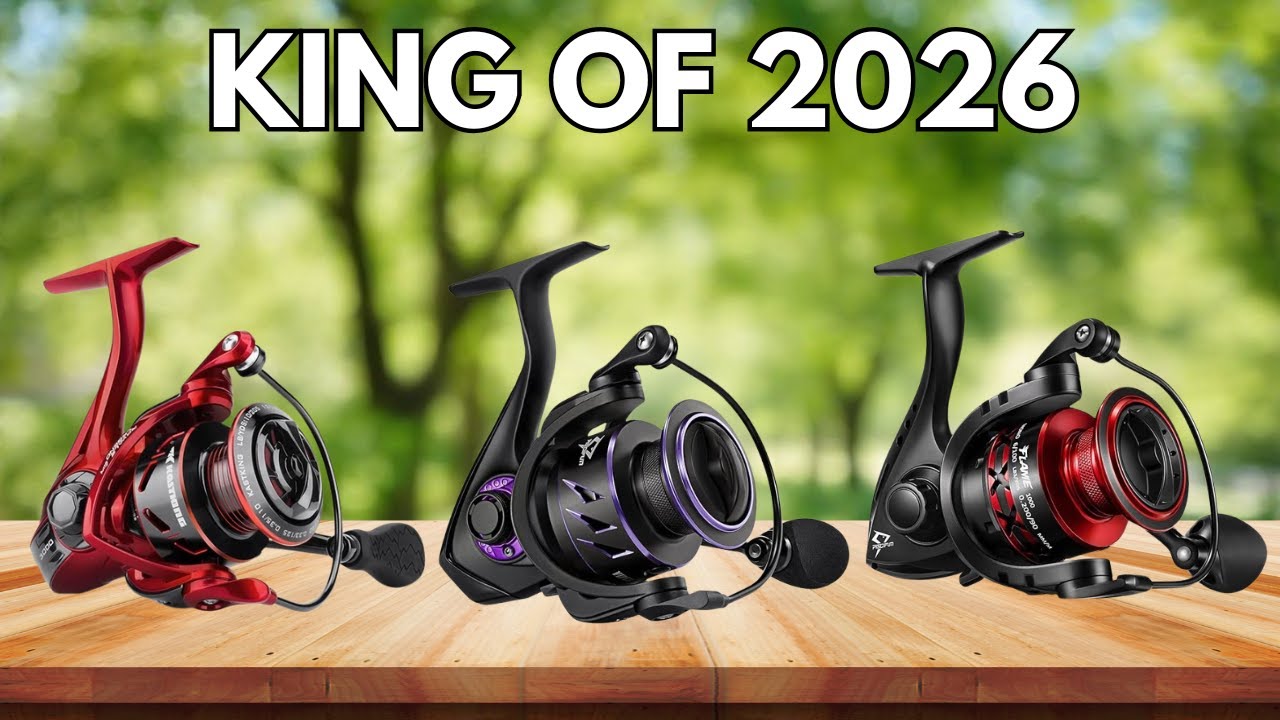2026 Top Shimano Spinning Reels: The Ultimate Buyer’s Guide