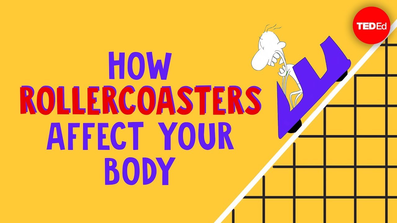 How rollercoasters affect your body - Brian D. Avery