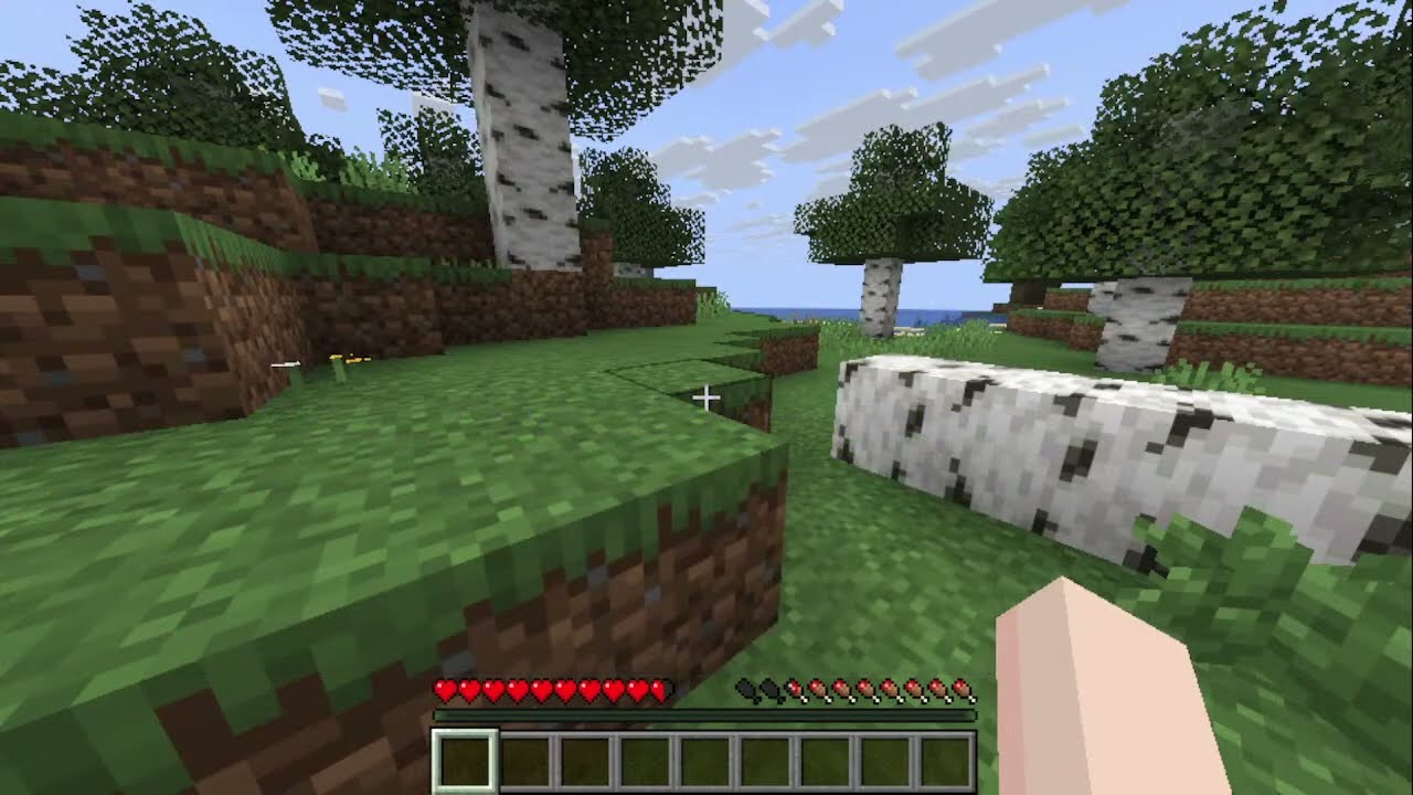 My Minecraft Server! (yes its cracked)