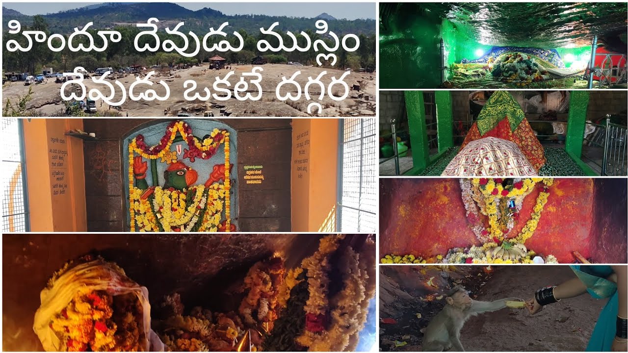 బెంగుళూరు సిద్ధర బెట్ట సిద్ధప vlog