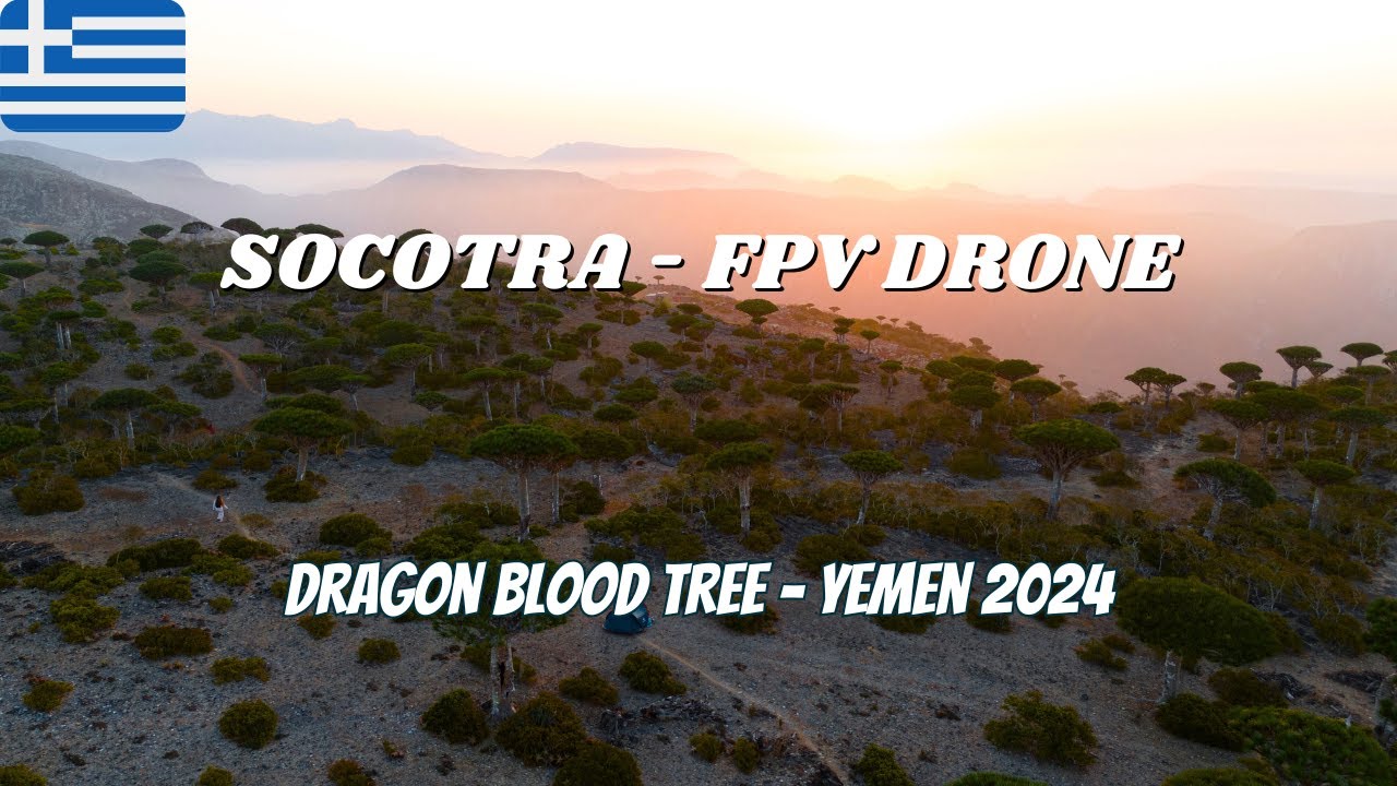 Dragon Blood Tree Forest || Socotra, Yemen - Drone 4K 2023 || Poetic cinematic music