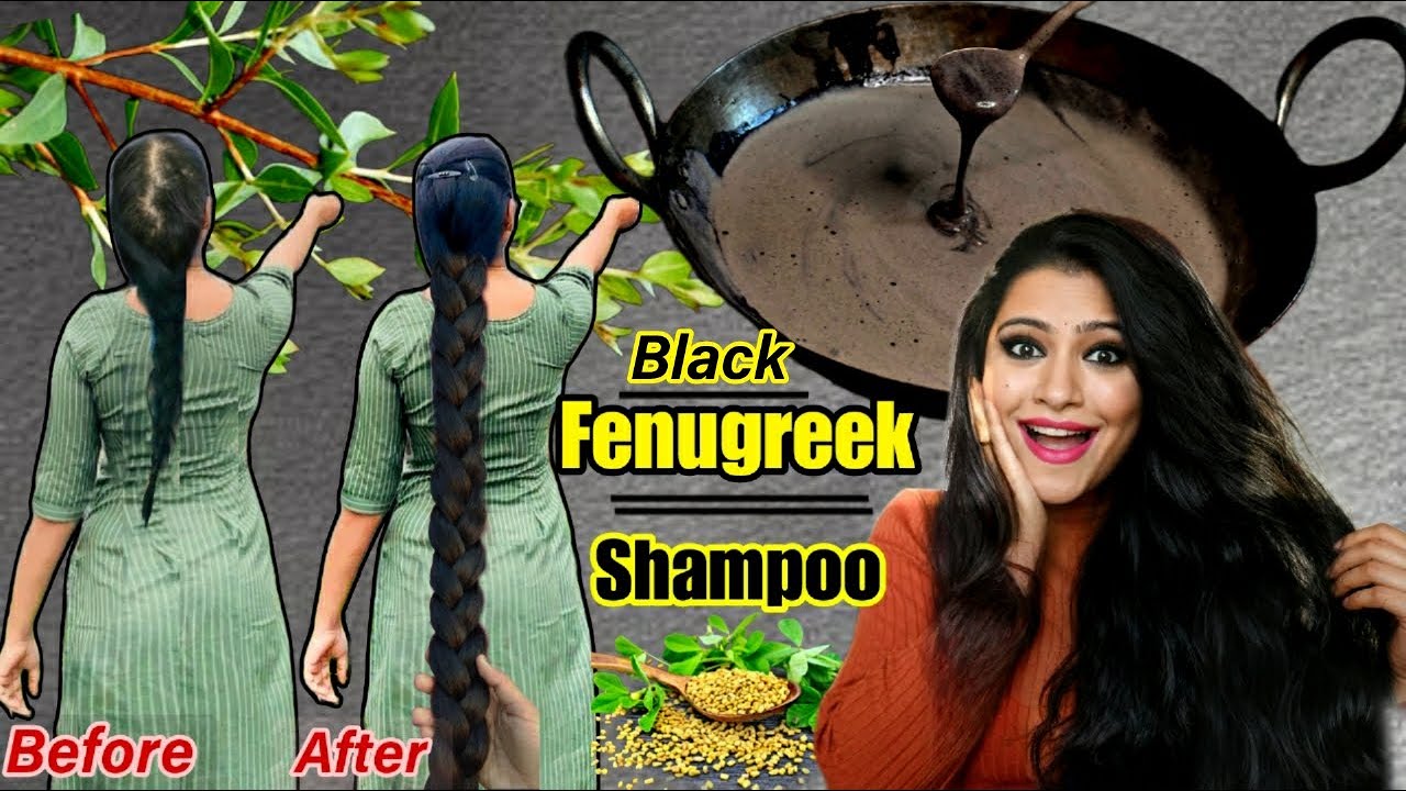 Black Fenugreek Shampoo To Make Hair 10×Thick, Long,Black Naturally: Homemade 100% Natural Shampoo