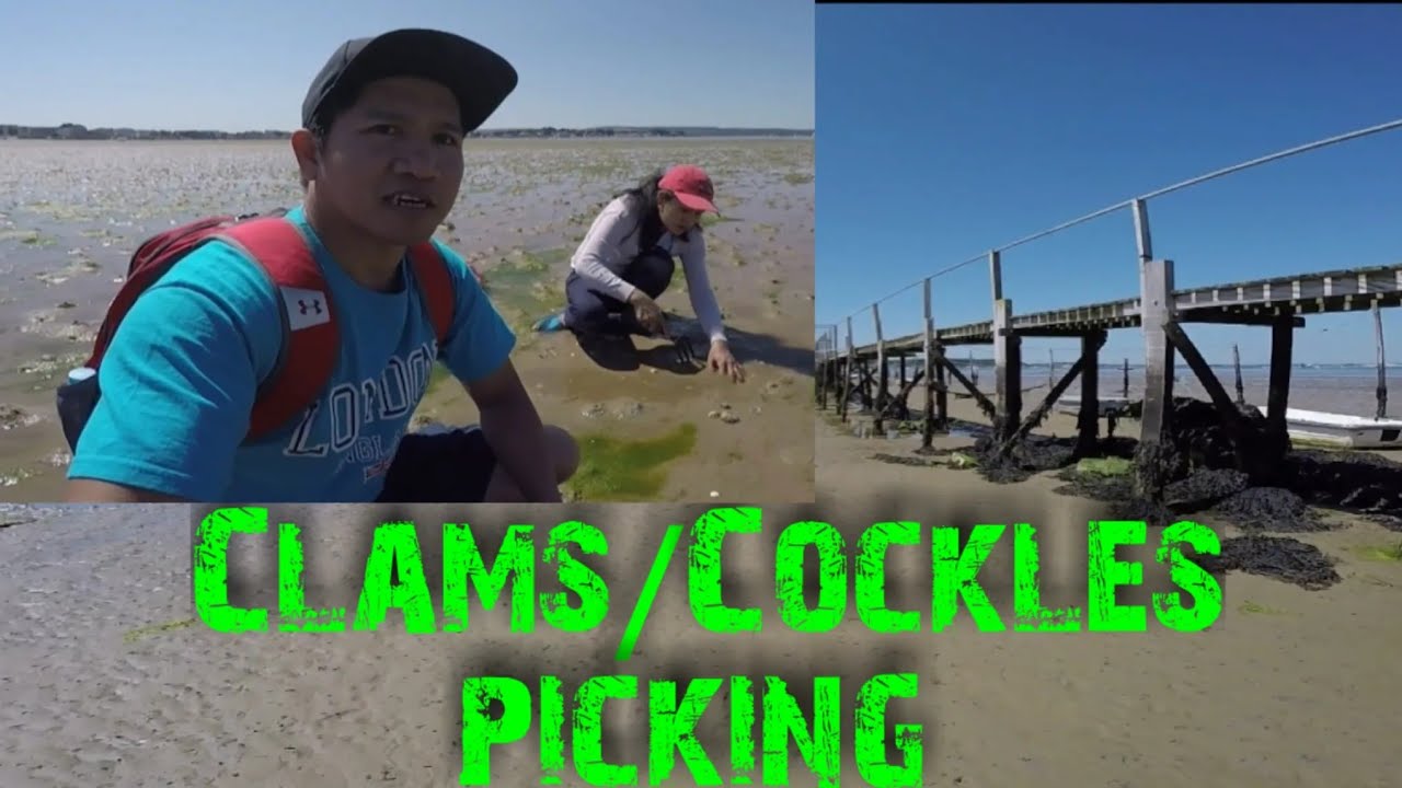 Digging for clams in Sandbanks, Poole, Dorset / #clams #pinoy #ofw #pinoy@atc