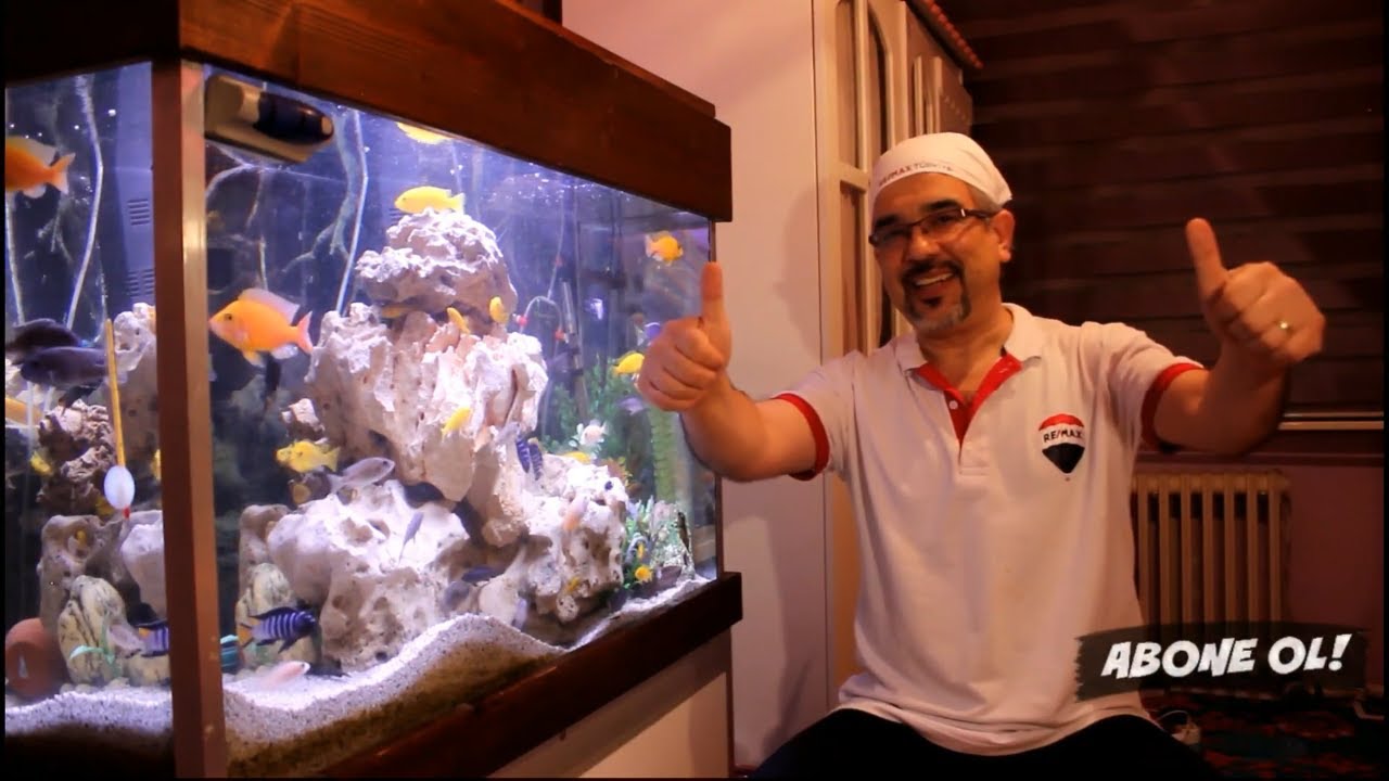Ciklet Yem Karışımı Yeni Formüllü Ciklet Yemi (Ciklet Balıkları Ev Yapımı Yem Ciklet Yem Çeşitleri)