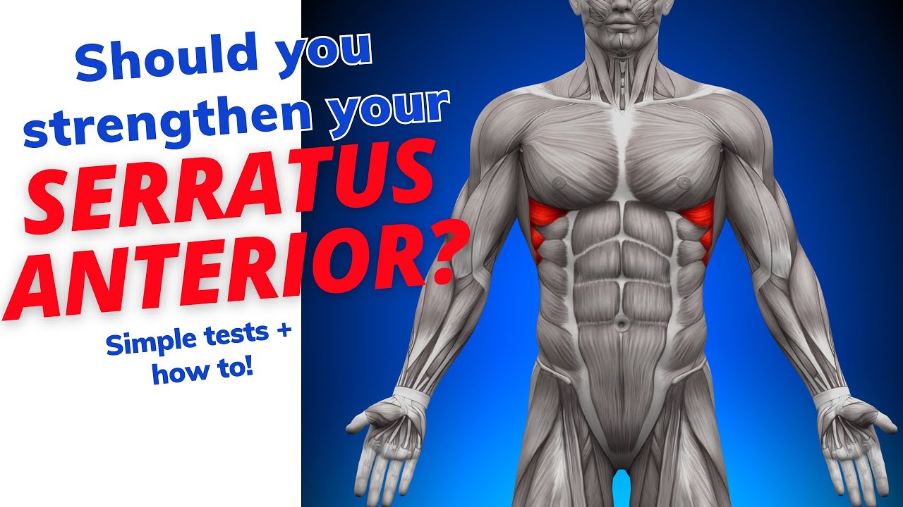 Should you Strengthen your Serratus Anterior? Here's how to test it.
