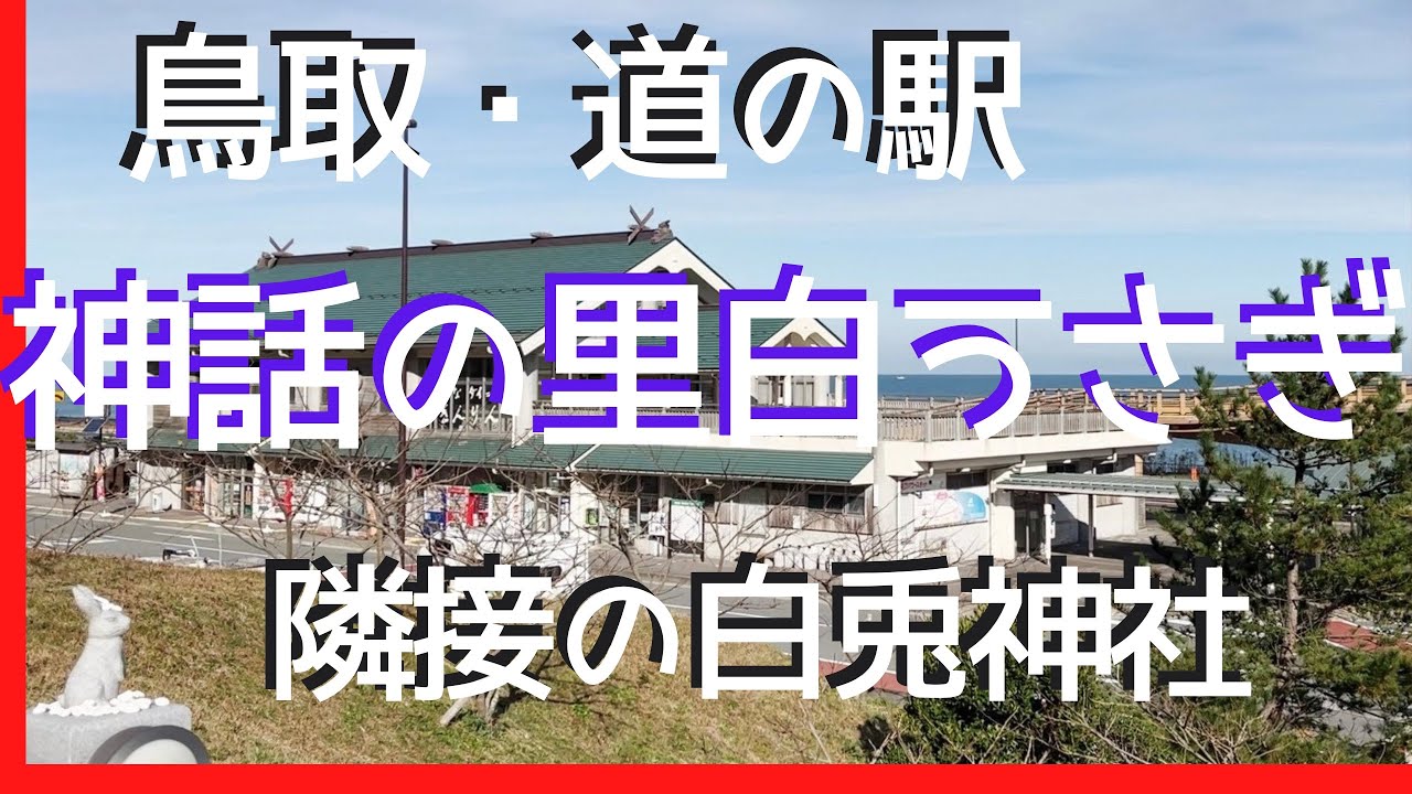 鳥取・道の駅「神話の里　白うさぎ」◍NV200キャンピングカー【わんことくるま旅】Tottori Road Station 