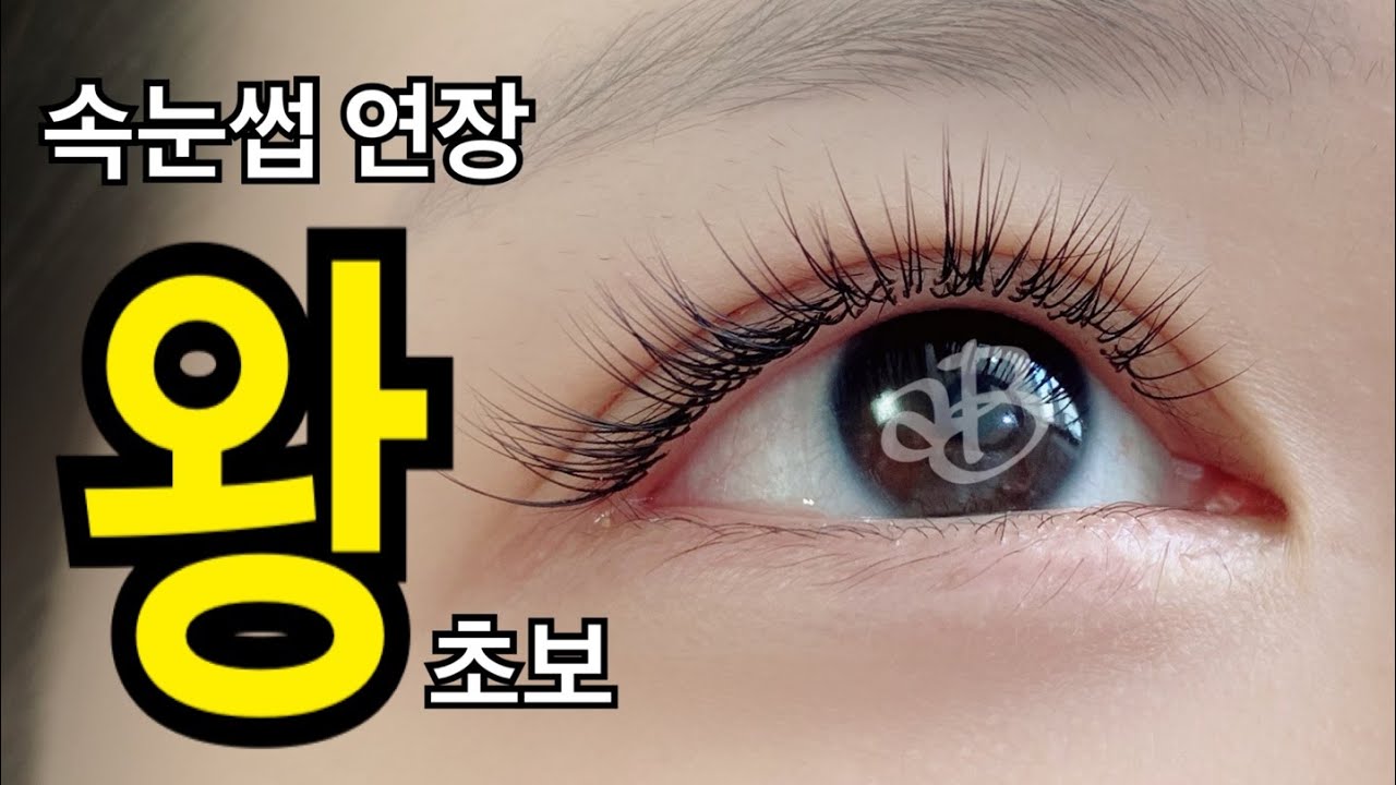속눈썹연장의 기본!!
