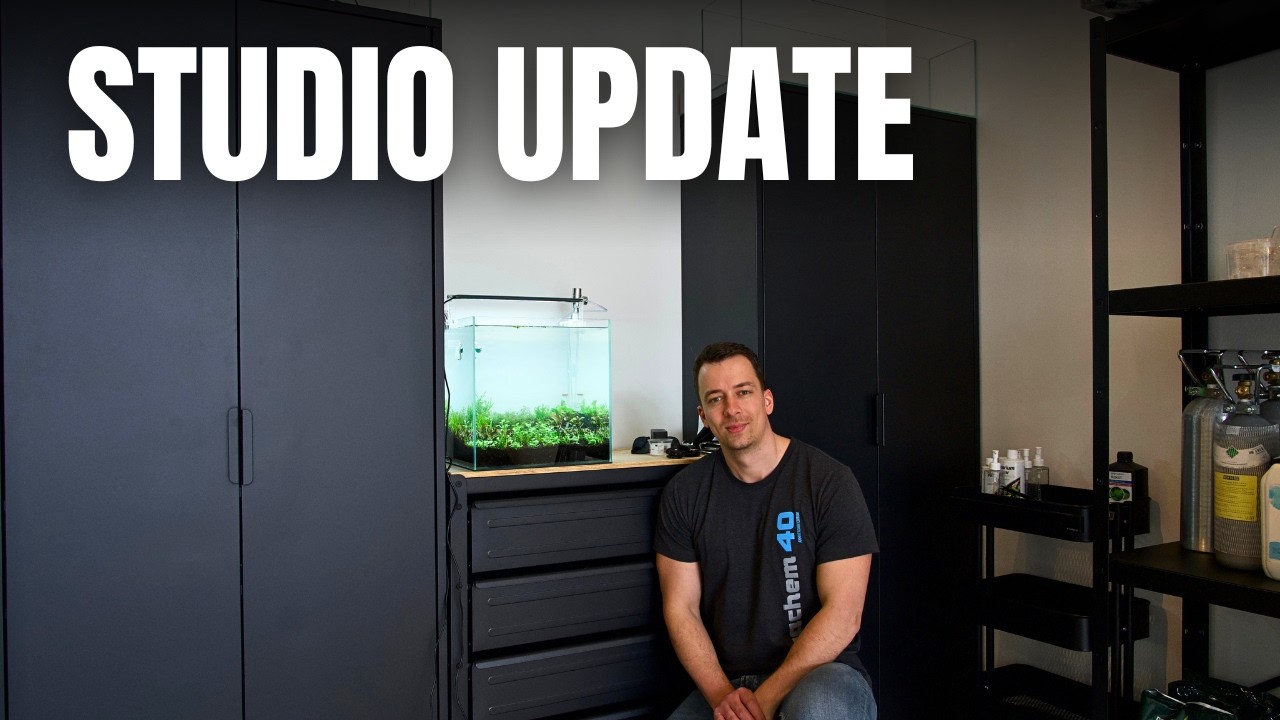 THE FIRST TANKS ARE UP IN THE NEW STUDIO!