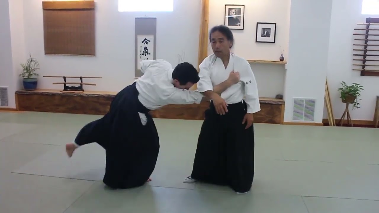 Yoshi Shibata   A Different Approach to Katatori