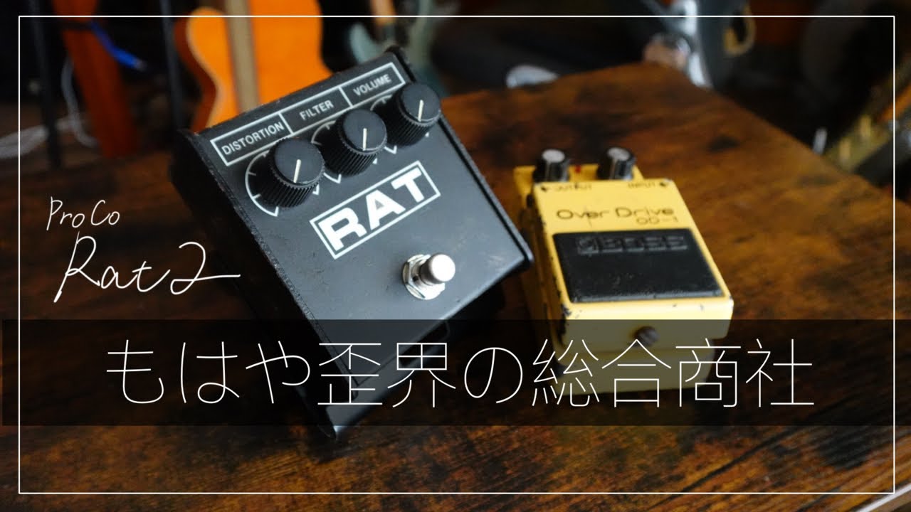 【ProCo Rat2】個人的には歪みのマルチエフェクターだと思います。異論は認めます。 VLOG#11 2024.09.08