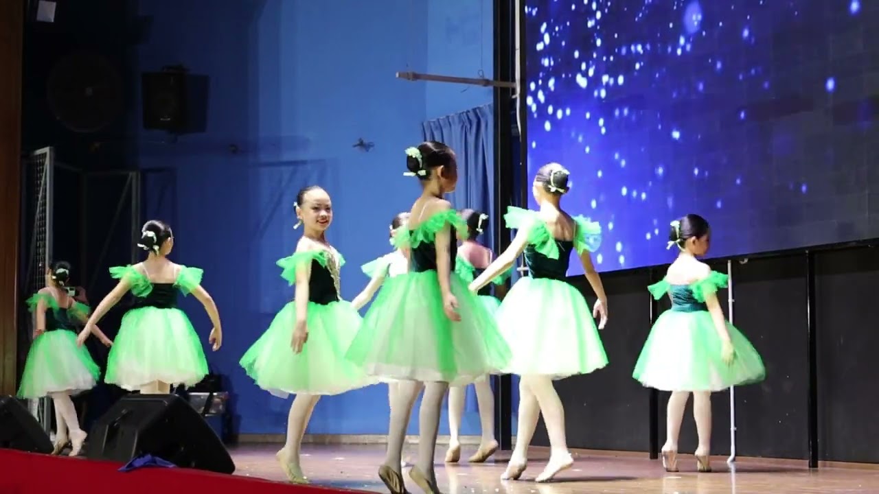 槟城明新小学文娱晚会