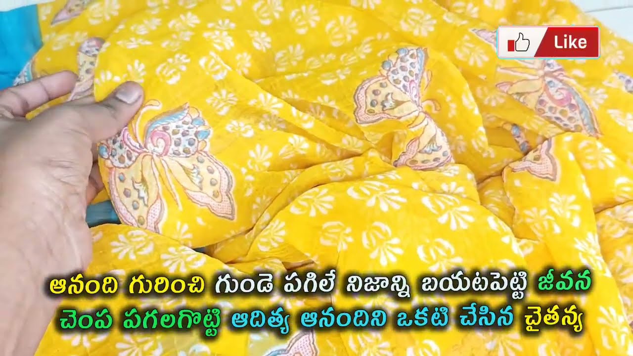  ఆనంది గురించి గుండె పగిలే నిజాన్ని బయటపెట్టి జీవన చె.ప చైతన్య