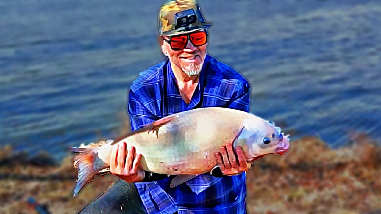 Bank Fishing For Carp & Buffalo