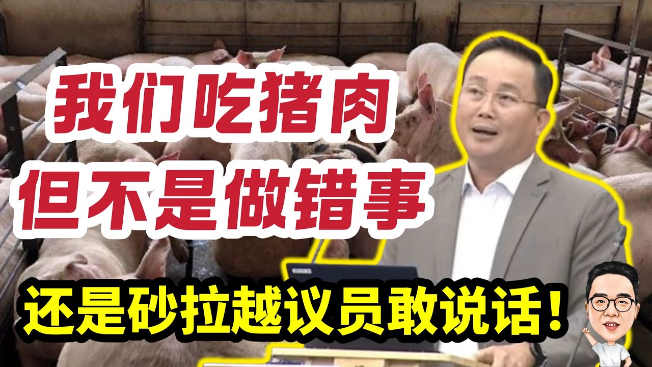 “吃猪肉不是做错事” 还是砂拉越议员敢说话！ 22.01.2026 @etchannel622 