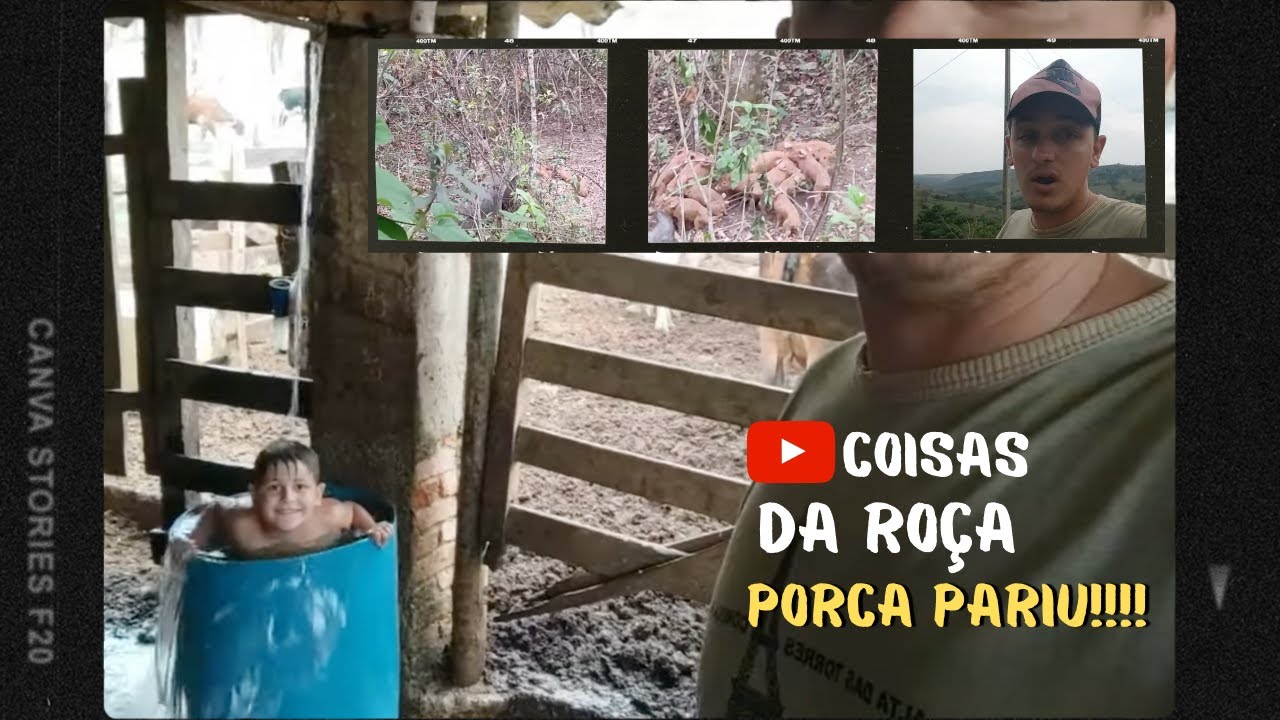 PORCA PARIDA + DESABAFO