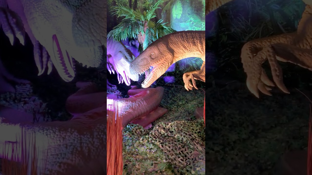 Dinosaur Adventure Unknown Dinosaur One