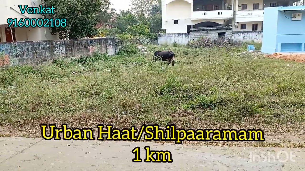 Open plot for sale #residential#padmavathipuram#tirupati