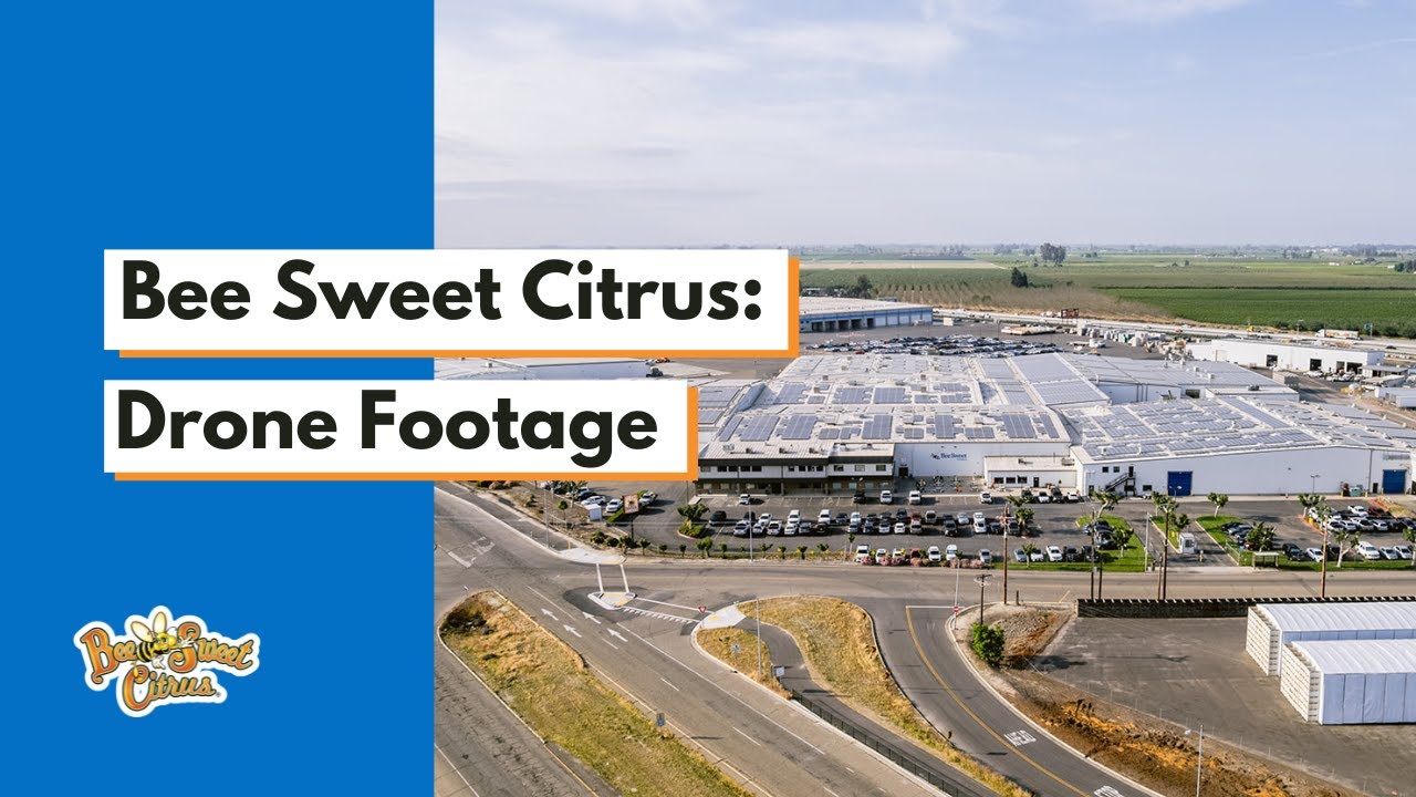 Bee Sweet Citrus Drone Footage