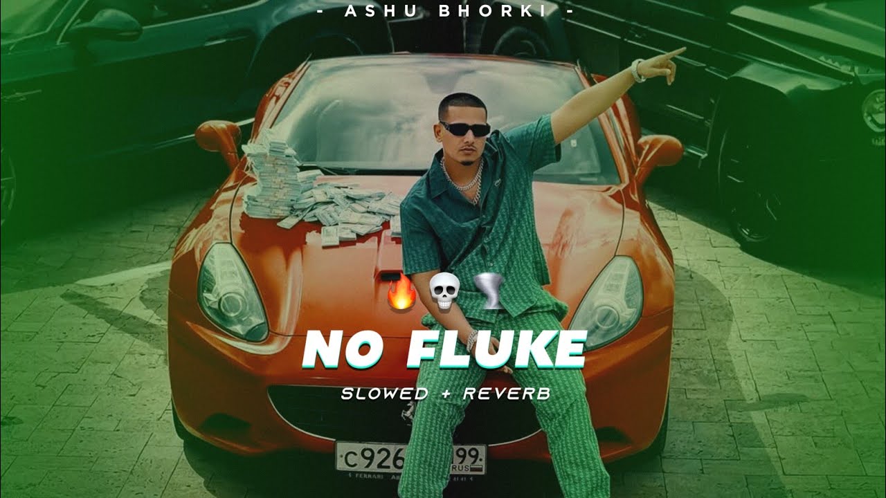 No Fluke ( Slowed + Reverb ) | Dhanda Nyoliwala | No Fluke Lo-Fi Song