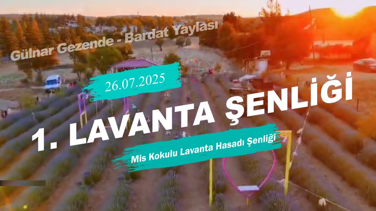 Gülnar Gezende/Bardat Yaylası Mis Kokulu Lavanta Hasadı Şenliği