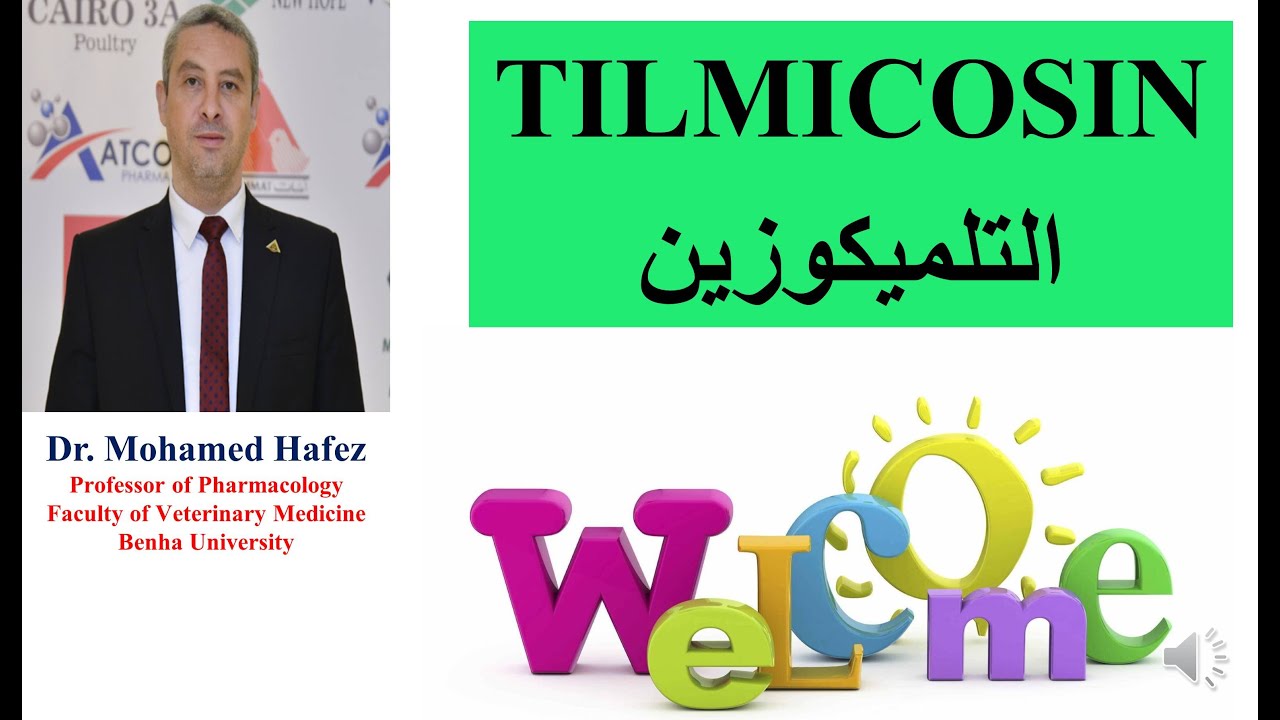 التلميكوزين في الدواجن TILMICOSIN